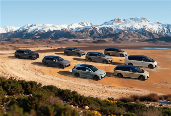 爆理想成立人形机器人和软件本体新部门