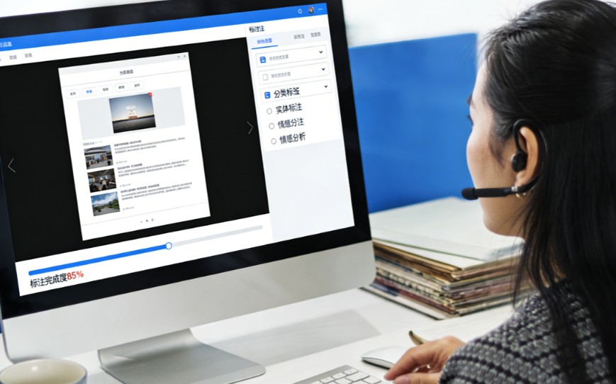 大模型标注是做什么