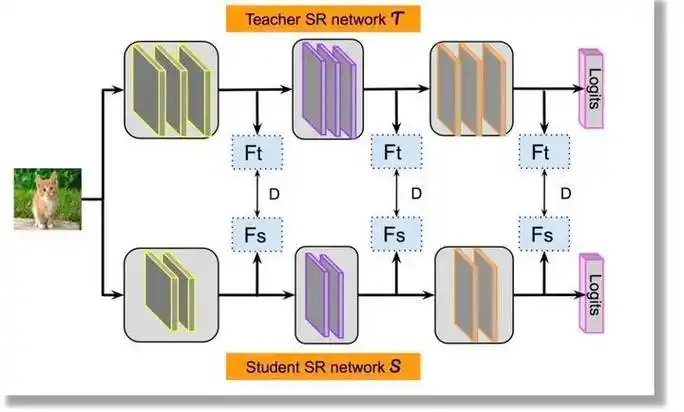 特征蒸馏什么意思