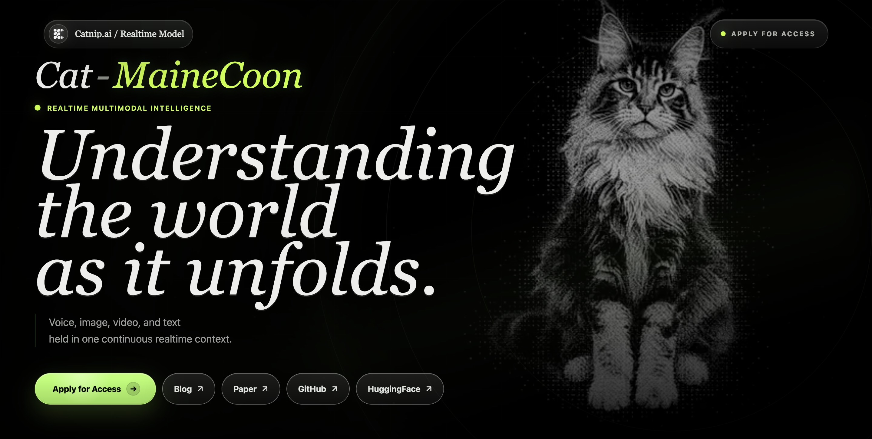 MaineCoon – 社交互动场景设计的实时音视频自回归世界模型