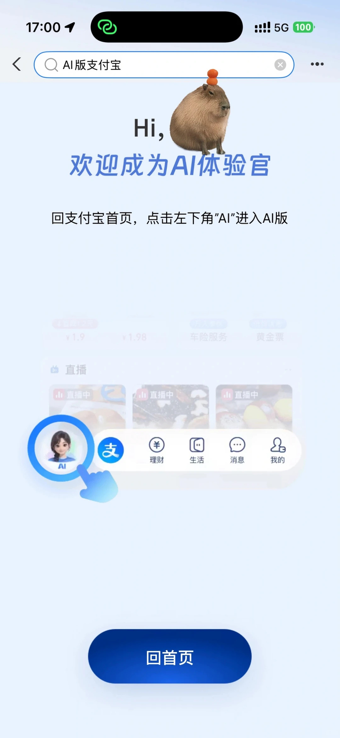 蚂蚁阿宝是什么软件啊安全吗