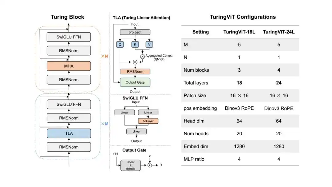 TuringViT - 小鹏集团发布的高效视觉编码器