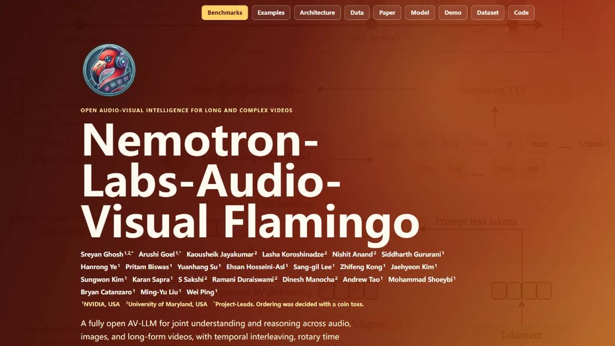 Audio-Visual Flamingo - NVIDIA等推出的全开源音视频大语言模型