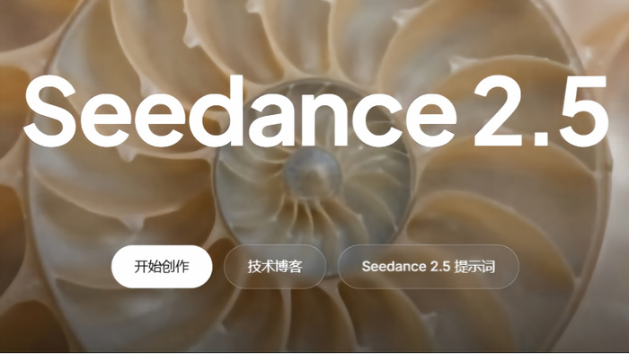 文生图用Seedence2.0还Seedence是2.5,哪一个