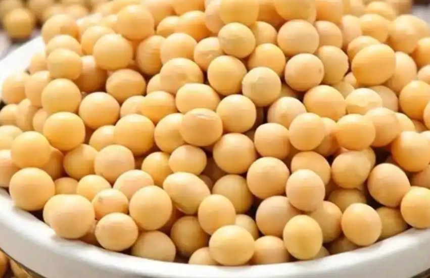 丰菽2.0 – 我国科学家研发的大豆领域垂直大模型